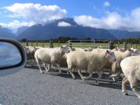 Albums/20060200-New Zealand 2006/20060207-South to Fox/22